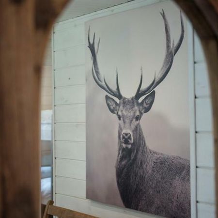 Chalet Le Grand Cerf ビューリンゲン エクステリア 写真