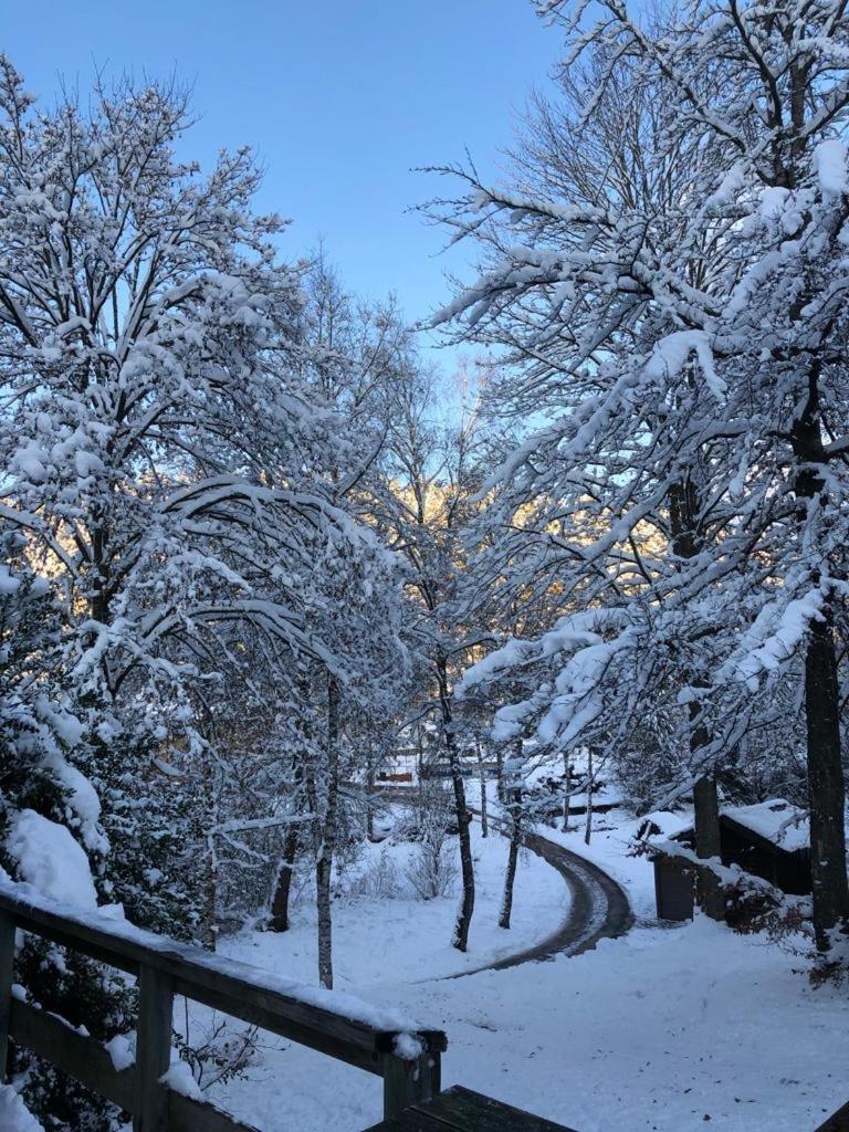 Chalet Le Grand Cerf ビューリンゲン エクステリア 写真