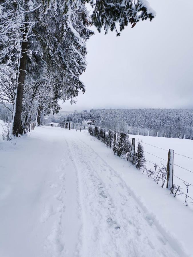 Chalet Le Grand Cerf ビューリンゲン エクステリア 写真