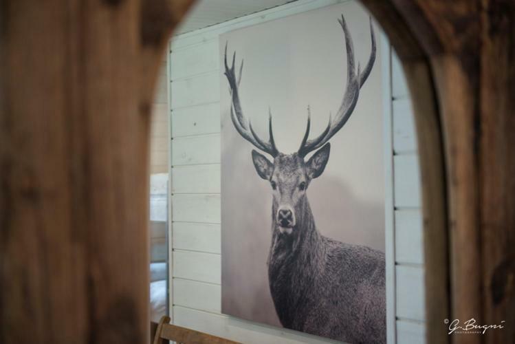 Chalet Le Grand Cerf ビューリンゲン エクステリア 写真